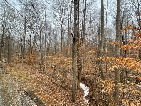 Tiny photo for 0 Rothwood Road, Monroe, VA 24574 (MLS # 364531)