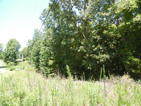 Tiny photo for 0 Rothwood Road, Monroe, VA 24574 (MLS # 364531)