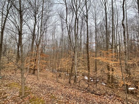 Photo of 0 Rothwood Road, Monroe, VA 24574 (MLS # 364531)