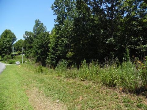 Tiny photo for 0 Rothwood Road, Monroe, VA 24574 (MLS # 364531)