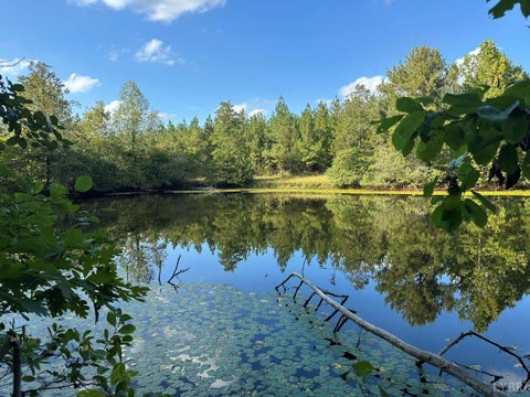 Vacant Land For Sale - 799 Sunnyside Rd Rd<br/> Buckingham County, Arvonia, VA 23004