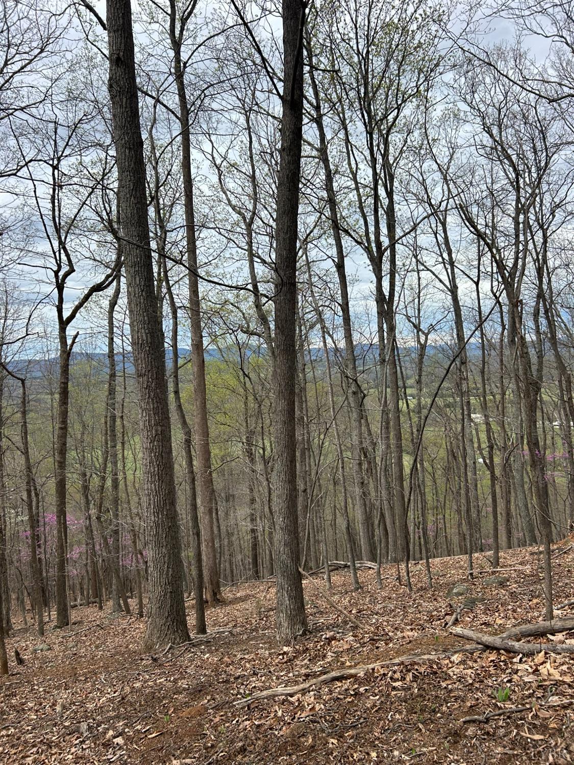25 Crane Drive, Monroe, Virginia image 1
