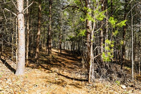 Tiny photo for 3097 Liberty Chapel Road, Appomattox, VA 24522 (MLS # 365332)