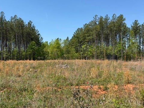 Vacant Land For Sale - Cub Creek Road<br/> Appomattox, VA 24522