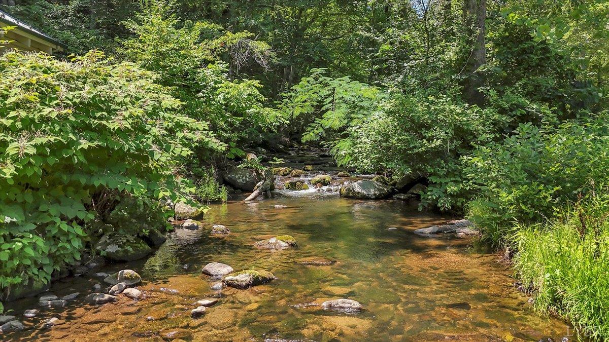 Big Island, Virginia 24526, United States, 3 Bedrooms Bedrooms, ,2 BathroomsBathrooms,Residential,Active,5102