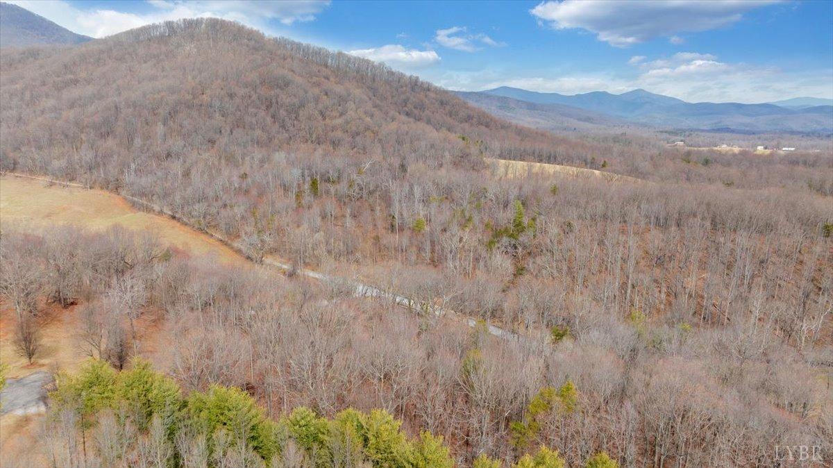 Big Island, Virginia 24526, United States, 3 Bedrooms Bedrooms, ,2 BathroomsBathrooms,Residential,Active,5102