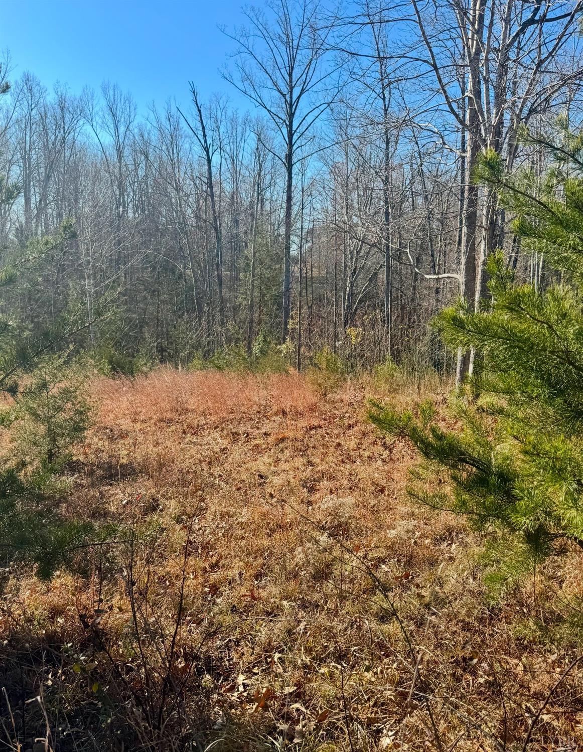 Lot 4 Mohawk Road Road, Gladys, Virginia image 4