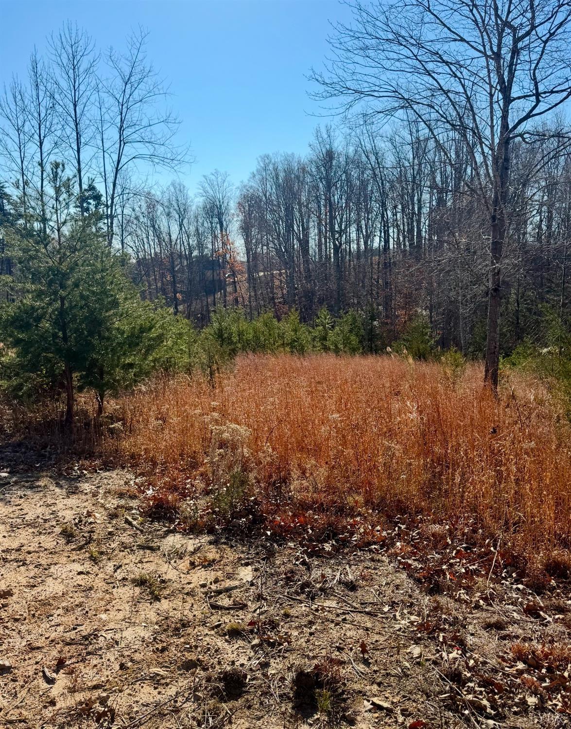 Lot 4 Mohawk Road Road, Gladys, Virginia image 3