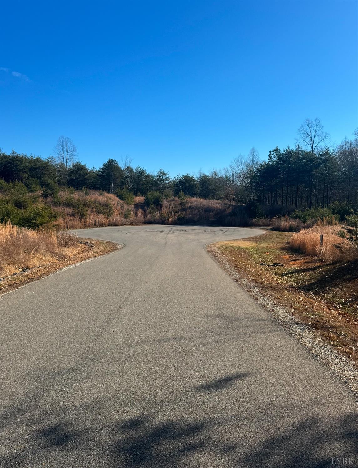 Lot 4 Mohawk Road Road, Gladys, Virginia image 7