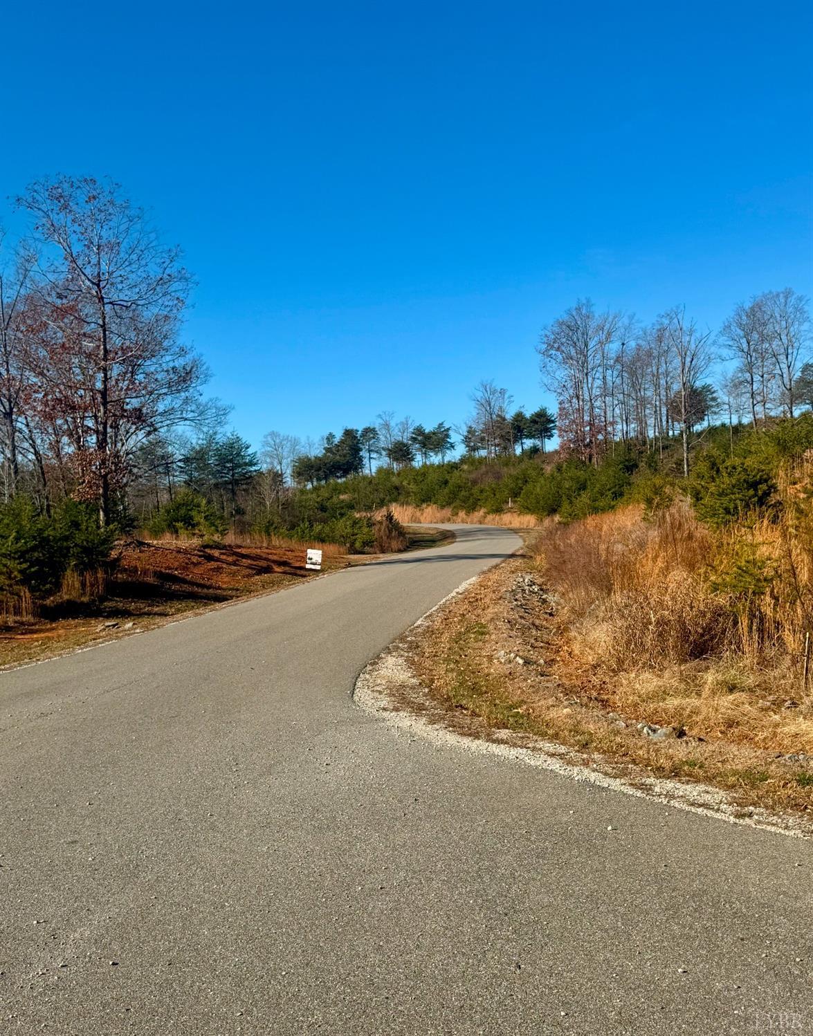 Lot 4 Mohawk Road Road, Gladys, Virginia image 6