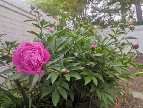 Tiny photo for 3906 Royal Boulevard, Lynchburg, VA 24503 (MLS # 364592)