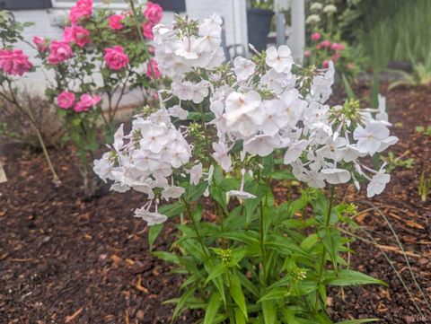 Tiny photo for 3906 Royal Boulevard, Lynchburg, VA 24503 (MLS # 364592)