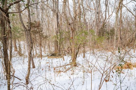 Tiny photo for 0 Stage Road, Lynchburg, VA 24504 (MLS # 364321)