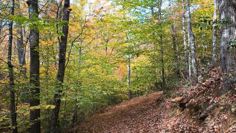 Tiny photo for 125 River Breeze Court, Howardsville, VA 24562 (MLS # 362989)