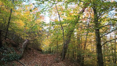 Tiny photo for 125 River Breeze Court, Howardsville, VA 24562 (MLS # 362989)