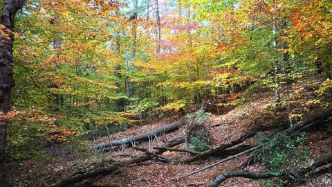 Tiny photo for 125 River Breeze Court, Howardsville, VA 24562 (MLS # 362989)