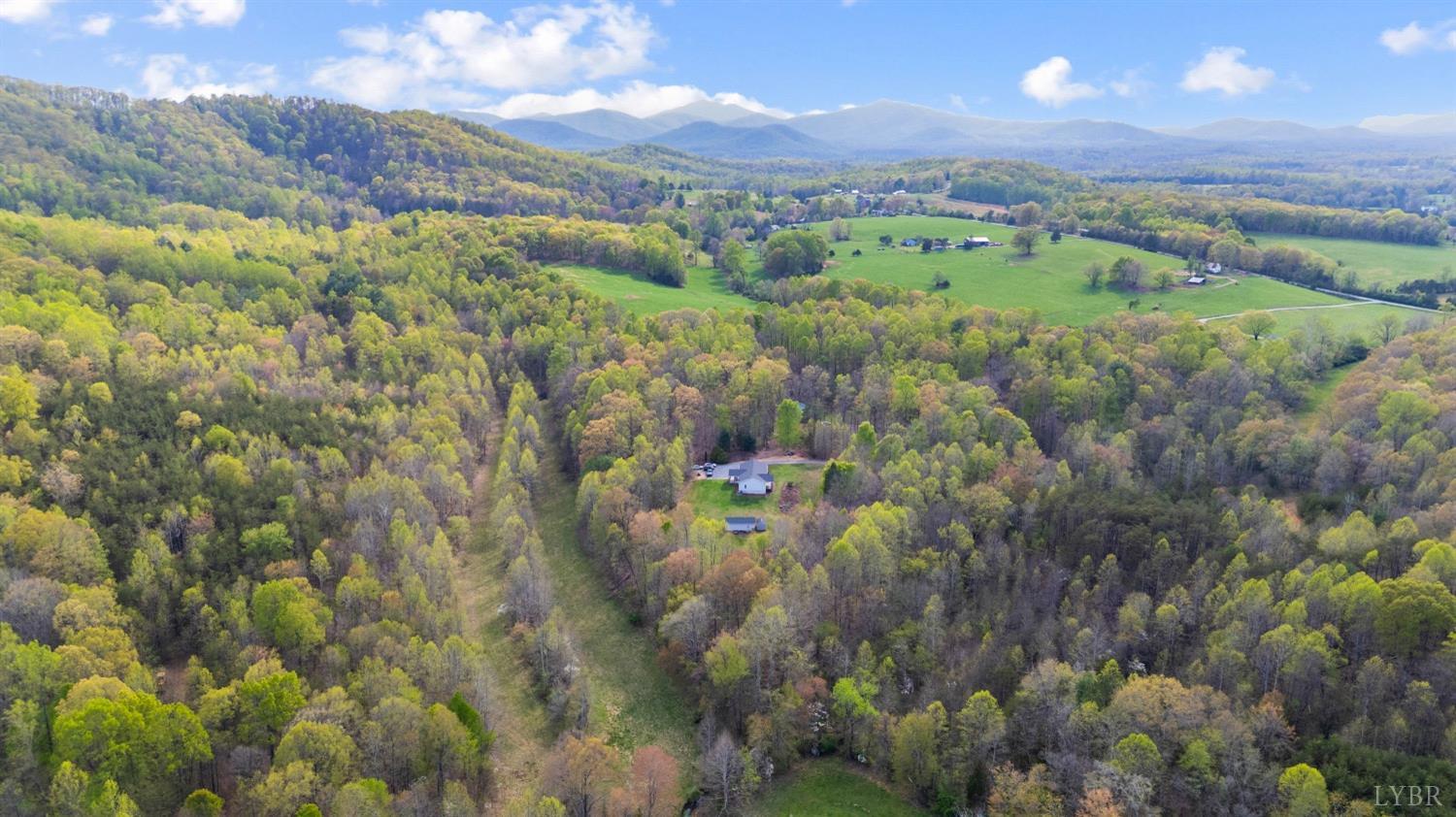 239 Little Farm Road, Amherst, Virginia image 43