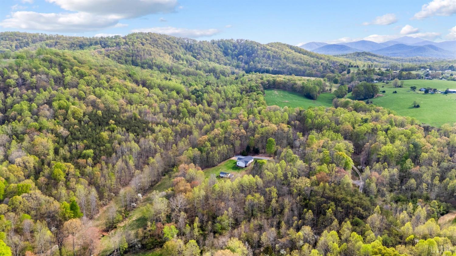 239 Little Farm Road, Amherst, Virginia image 42