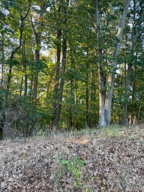 Tiny photo for 433 Coffee Road, Lynchburg, VA 24503 (MLS # 362087)