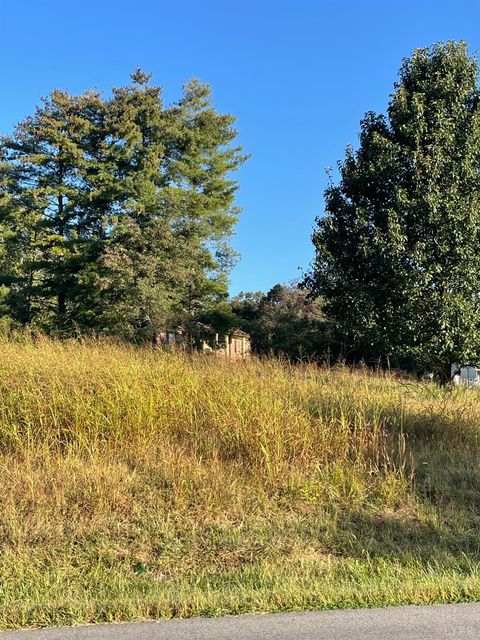 Tiny photo for 433 Coffee Road, Lynchburg, VA 24503 (MLS # 362087)