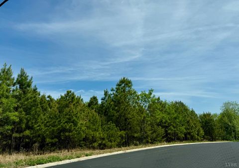 Photo of 0 Commonwealth Drive, Madison Heights, VA 24572 (MLS # 365878)