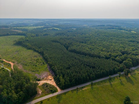 Vacant Land For Sale - Wyatt Miles Road<br/> Campbell County, Gladys, VA 24554