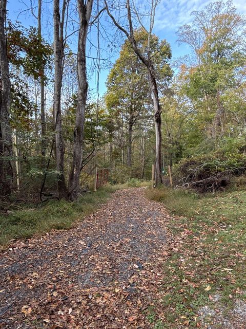 Photo of 195 Ramey Hodge Drive, Martinsville, VA 24112 (MLS # 362802)