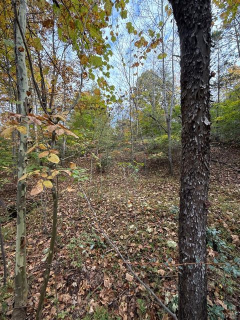 Tiny photo for 195 Ramey Hodge Drive, Martinsville, VA 24112 (MLS # 362802)