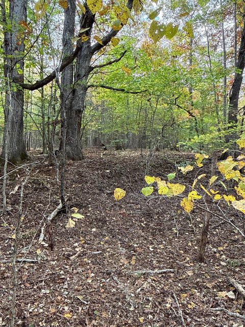 Tiny photo for 195 Ramey Hodge Drive, Martinsville, VA 24112 (MLS # 362802)