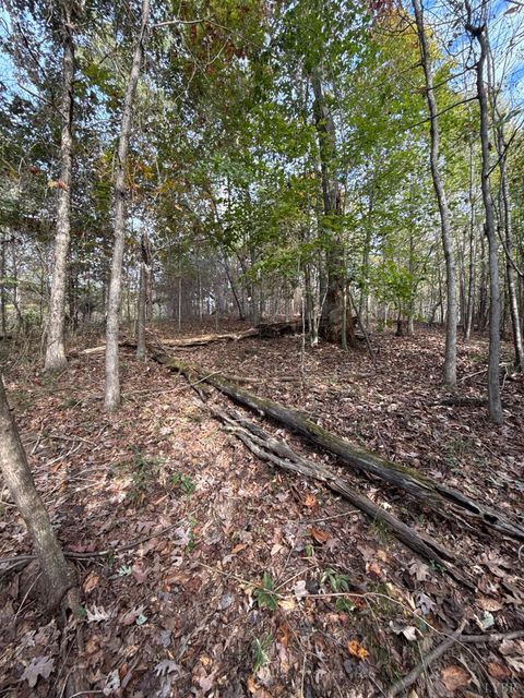 Tiny photo for 195 Ramey Hodge Drive, Martinsville, VA 24112 (MLS # 362802)