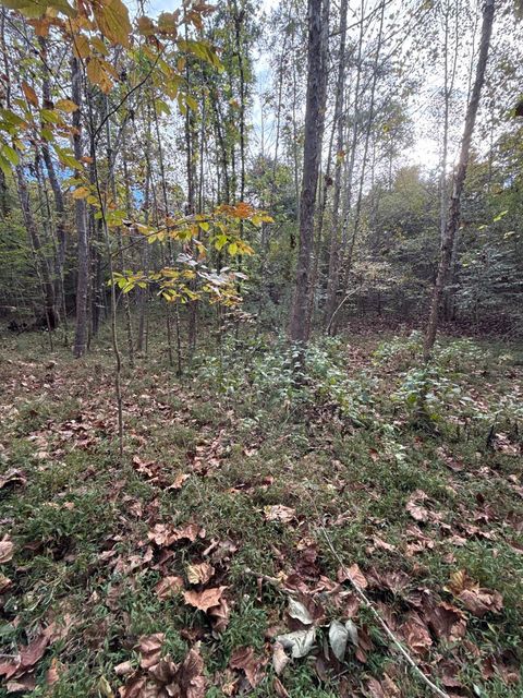 Tiny photo for 195 Ramey Hodge Drive, Martinsville, VA 24112 (MLS # 362802)