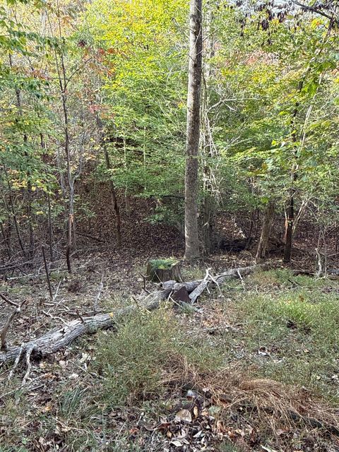 Tiny photo for 195 Ramey Hodge Drive, Martinsville, VA 24112 (MLS # 362802)