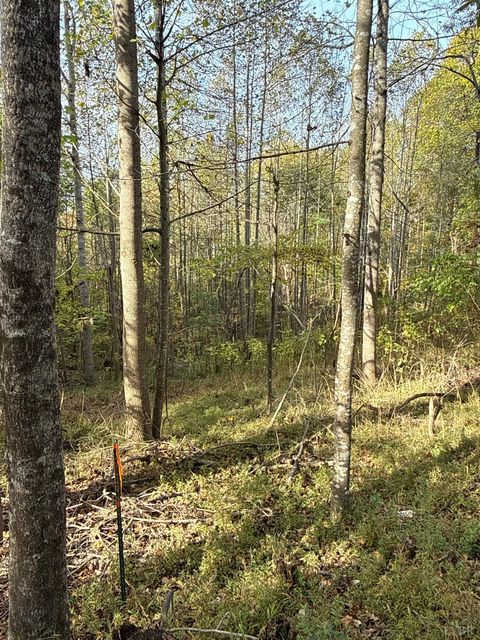 Tiny photo for 195 Ramey Hodge Drive, Martinsville, VA 24112 (MLS # 362802)