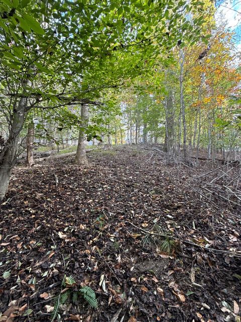 Tiny photo for 195 Ramey Hodge Drive, Martinsville, VA 24112 (MLS # 362802)