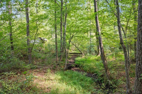 Vacant Land For Sale - Hayshed Lot 5 Road<br/> Amherst, VA 24521