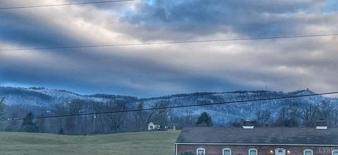 Tiny photo for 2229 Cedar Gate Rd Rd, Madison Heights, VA 24572 (MLS # 363688)