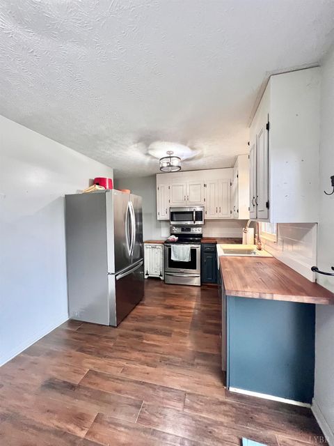 Tiny photo for 2229 Cedar Gate Rd Rd, Madison Heights, VA 24572 (MLS # 363688)