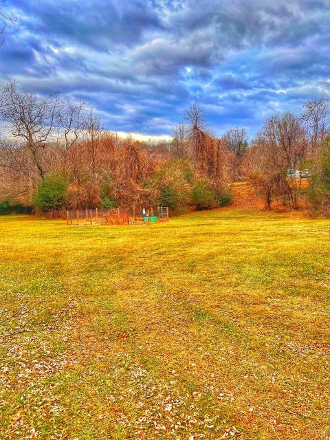 Tiny photo for 2229 Cedar Gate Rd Rd, Madison Heights, VA 24572 (MLS # 363688)