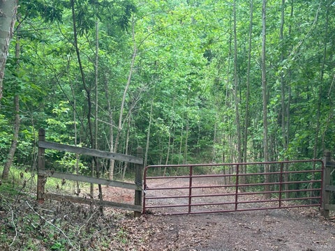 Vacant Land For Sale - Burgess Road<br/> Madison Heights, VA 24572