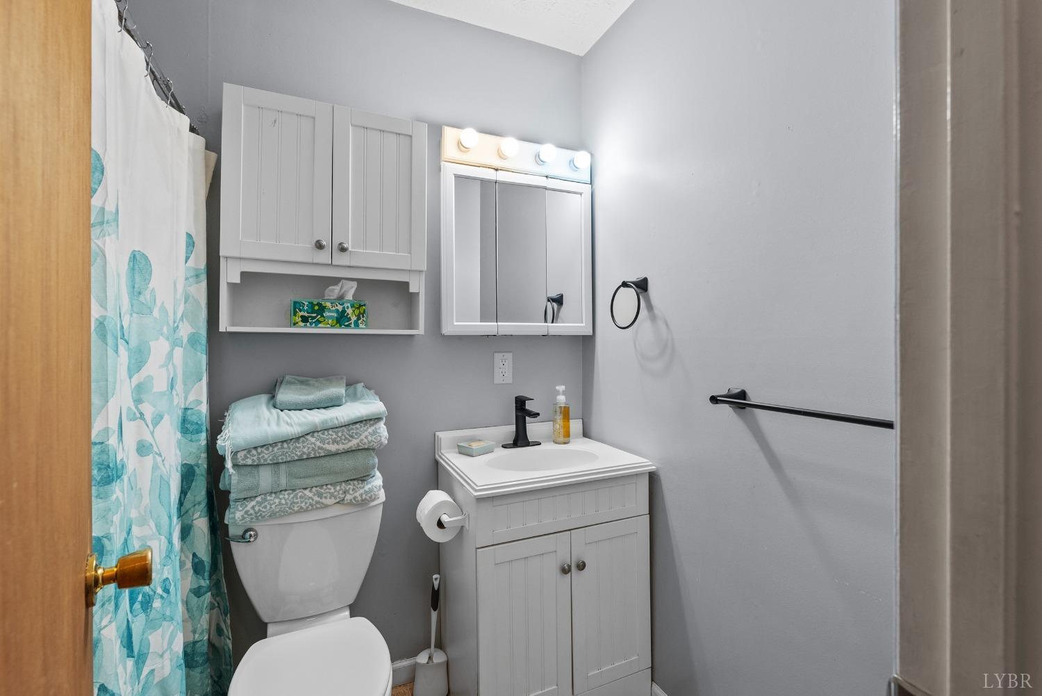 119 Adams Drive, Lynchburg, Virginia image 11