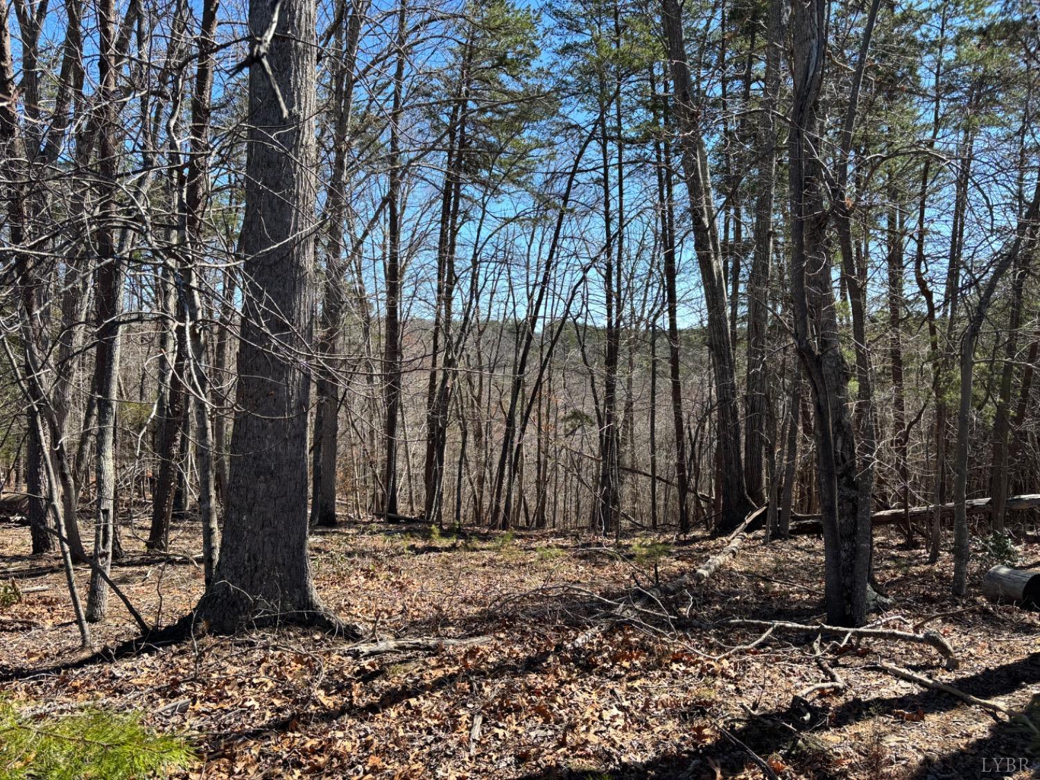 N Summerset Road, Gretna, Virginia image 2