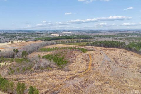 Tiny photo for 1166 Throckmorton Trail, Scottsburg, VA 24589 (MLS # 364725)