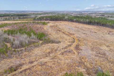 Tiny photo for 1166 Throckmorton Trail, Scottsburg, VA 24589 (MLS # 364725)