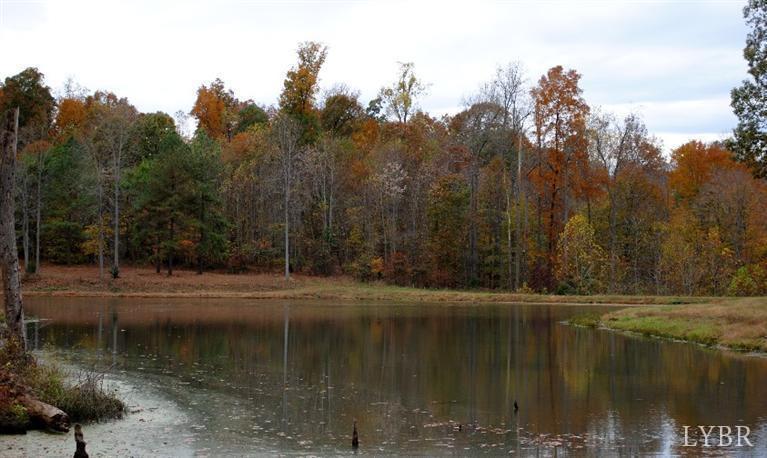 Willow Oak Drive, Forest, Virginia image 3