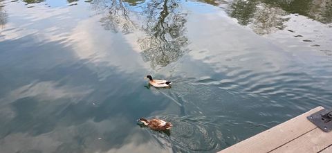 Tiny photo for 1085 Azalea Drive, Moneta, VA 24121 (MLS # 364660)