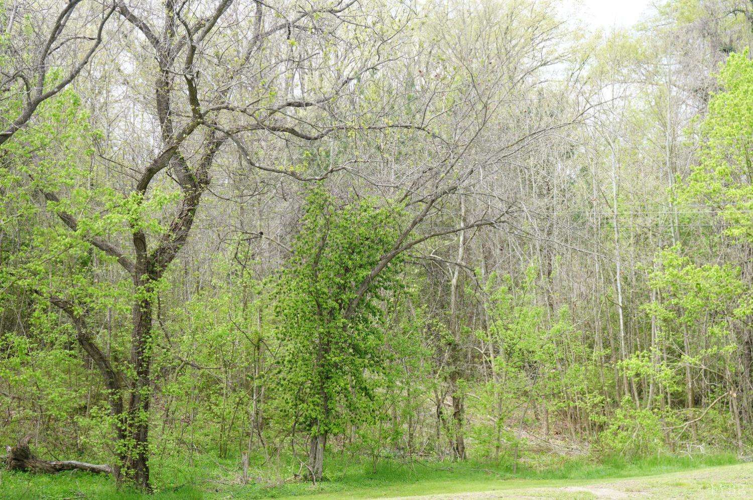 Marshall Street, Brookneal, Virginia image 3