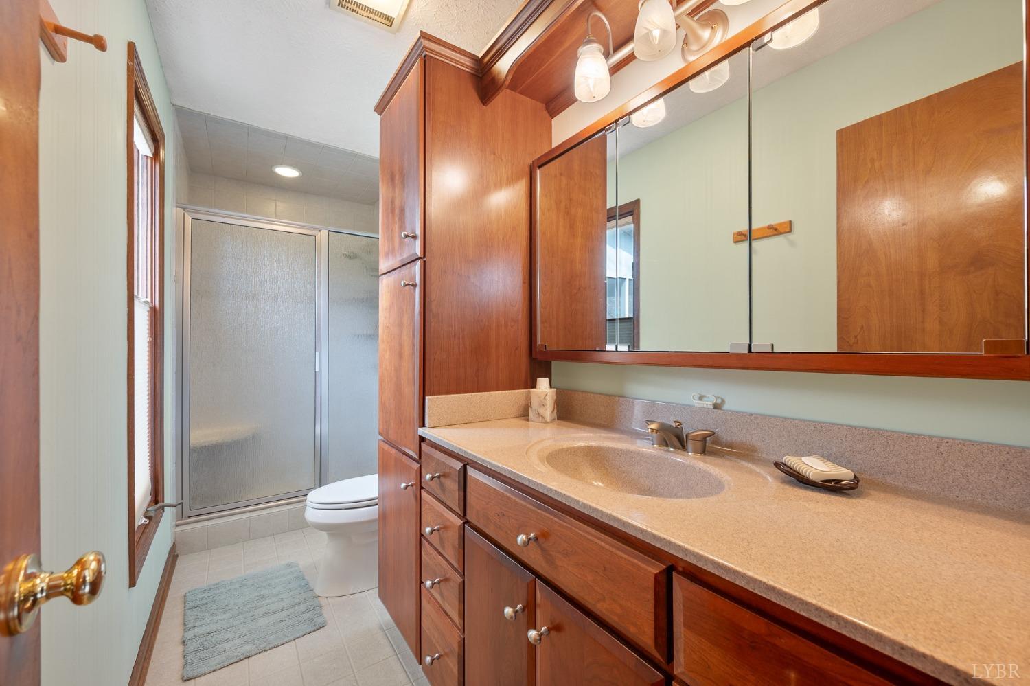 107 Hitching Post Lane, Forest, Virginia image 35