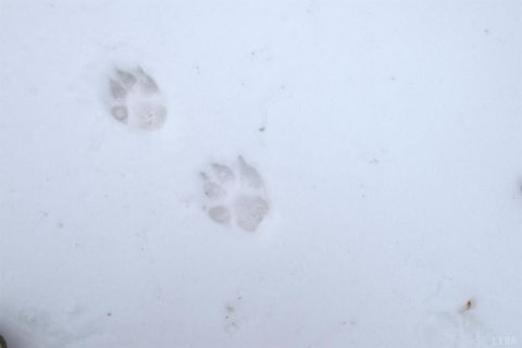 Tiny photo for 6 Lime Plant Road, Appomattox, VA 24522 (MLS # 364654)