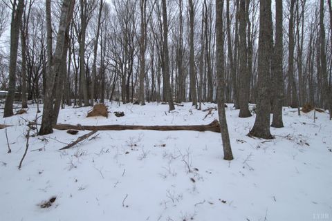 Tiny photo for 6 Lime Plant Road, Appomattox, VA 24522 (MLS # 364654)