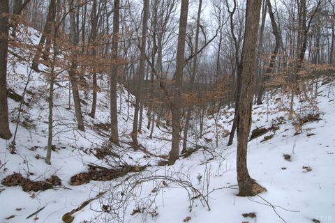 Tiny photo for 6 Lime Plant Road, Appomattox, VA 24522 (MLS # 364654)